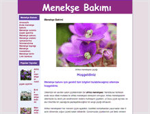 Tablet Screenshot of meneksebakimi.com